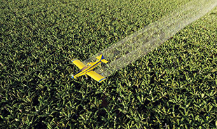 Plane over agricultural land