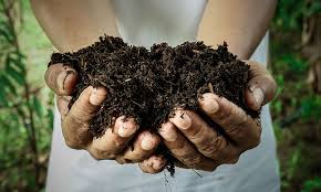 Soil u hands